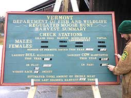 Moose Scoreboard at the Island Pond, Vermont reporting station