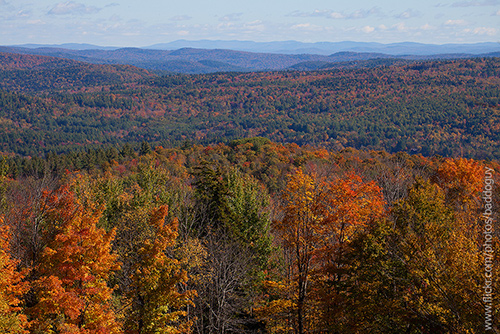 20131008-IMG_5745_USA_Vermont_fall_foliage_autumn_forest_mountain_Dover_Hill_Road.jpg