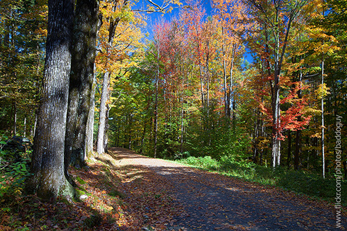 20131008-IMG_5753_USA_Vermont_fall_foliage_autumn_forest_mountain_unname_road.jpg