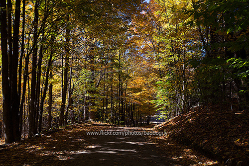 20131008-IMG_5760_USA_Vermont_fall_foliage_autumn_forest_mountain_unname_road.jpg