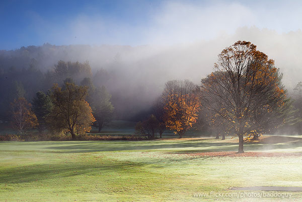 20131009-IMG_5957_USA_Vermont_fall_foliage_autumn_Woodstock_fog_glass_tree.jpg