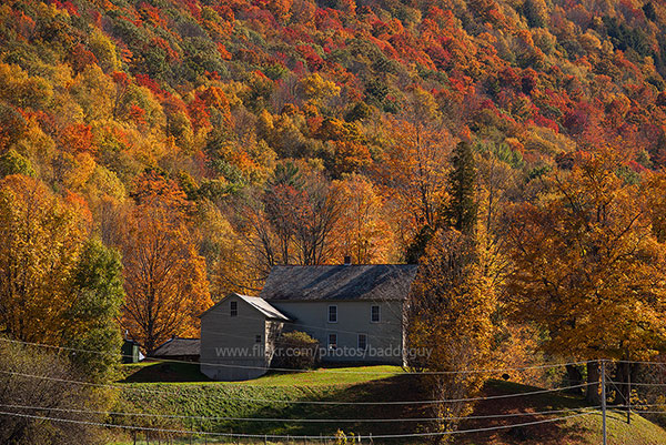 20131010-IMG_6129_USA_Vermont_fall_foliage_autumn_Middletown-Spring_Pawlet_house_forest.jpg