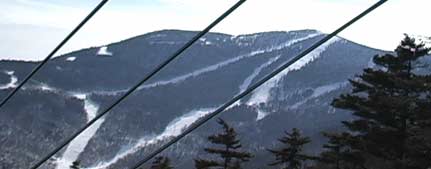 View of sugarbush from SlideBrook Express